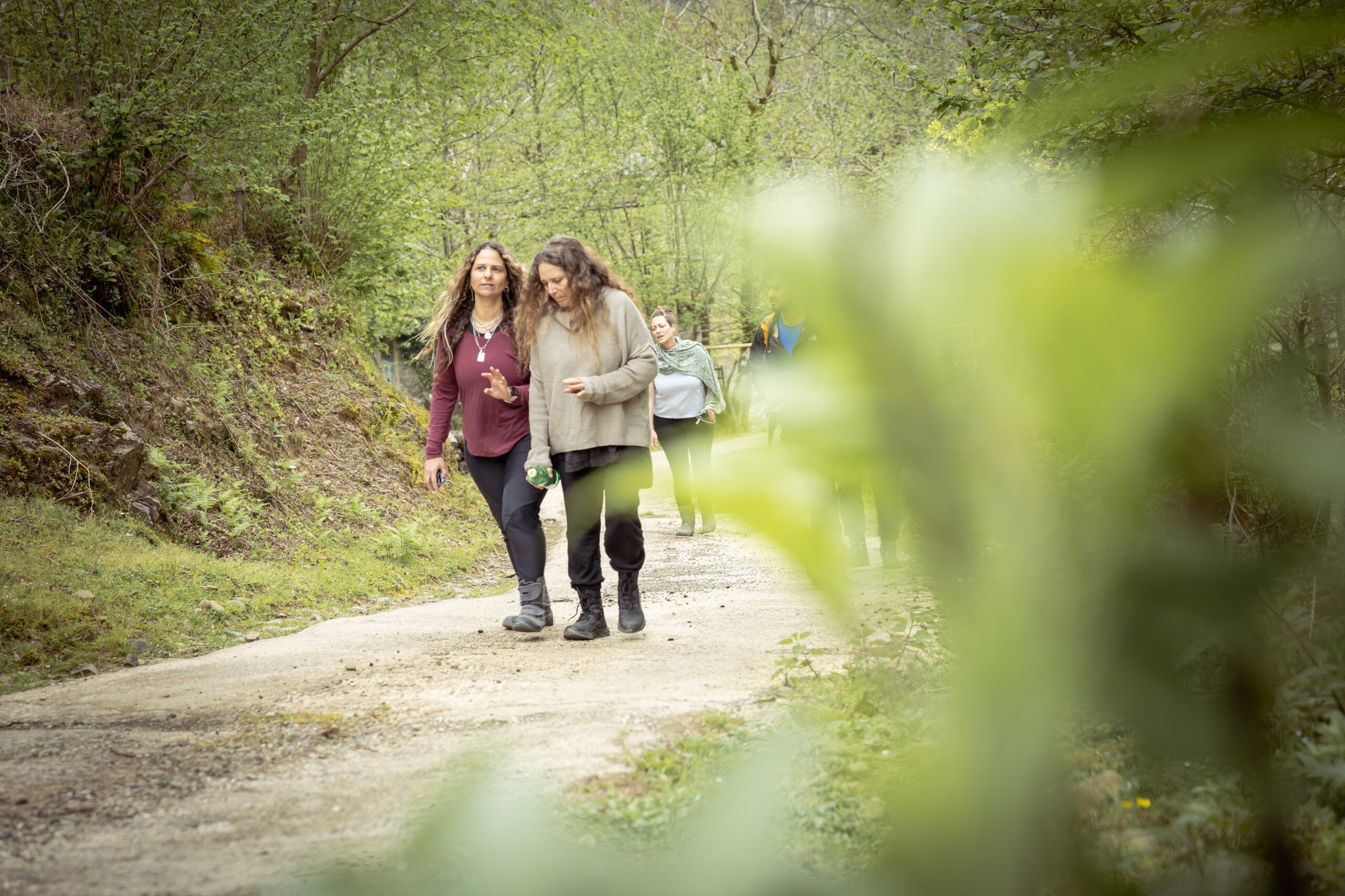 ריטריט להתחבר מחדש